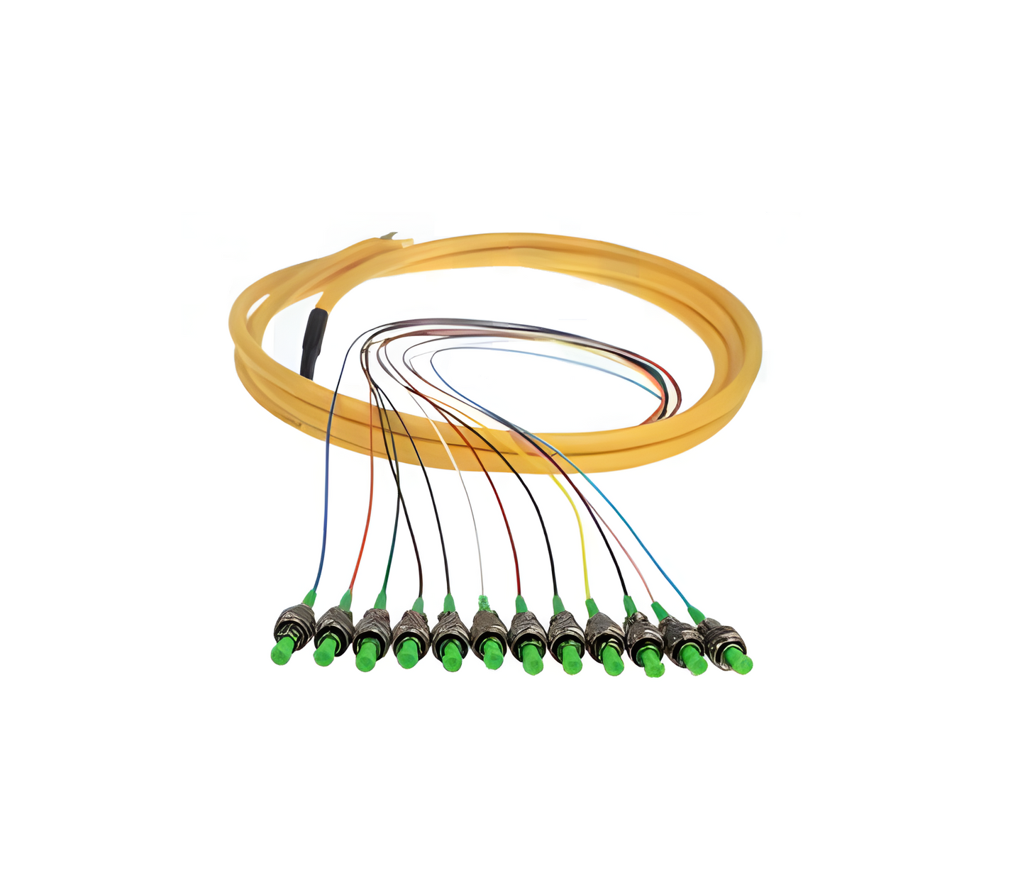 Cable de Distribución Multifibra con Conectores SC/FC/LC – 3M